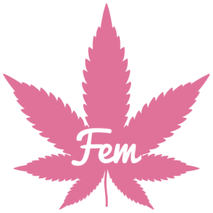 Feminized cannabis seeds icon