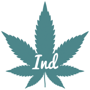 Indica cannabis seeds