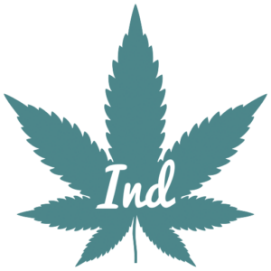 Indica Seeds