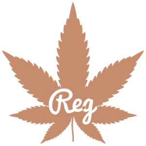 Regular cannabis seeds