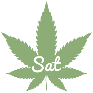 Sativa cannabis seeds