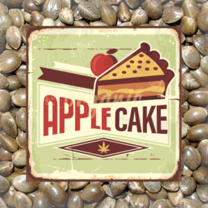 Apple Cake feminized marijuana seeds