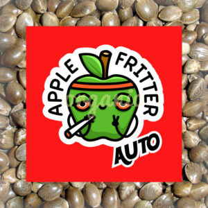 Apple Fritter autoflower marijuana seeds
