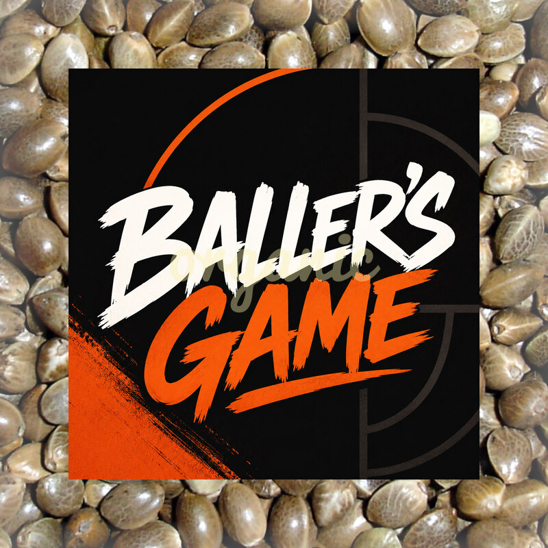 Baller's Game feminized marijuana seeds
