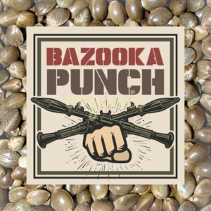 Bazooka Punch feminized marijuana seeds
