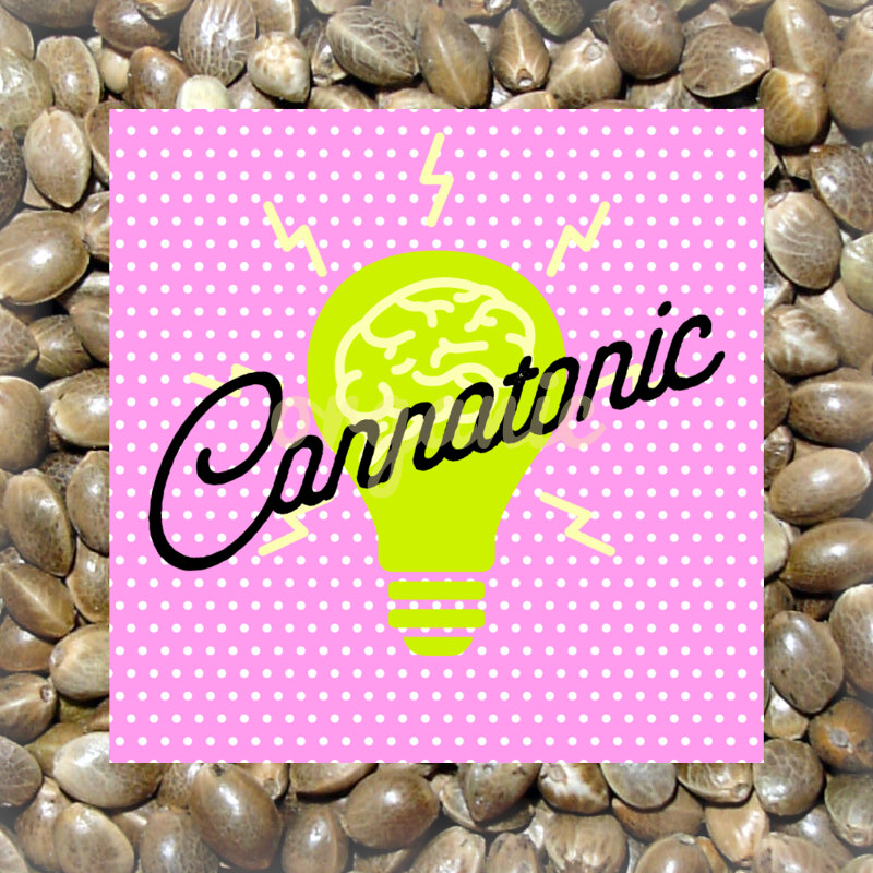 Cannatonic feminized marijuana seeds
