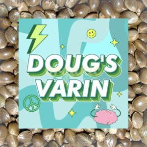 Doug’s Varin feminized marijuana seeds