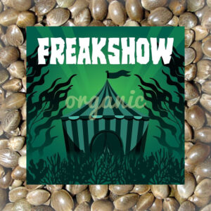Freakshow feminized marijuana seeds