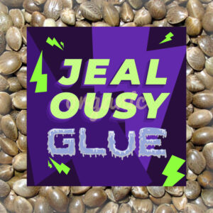 Jealousy Glue feminized marijuana seeds