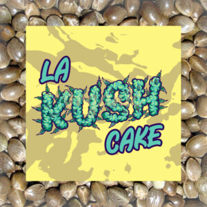 LA Kush Cake feminized marijuana seeds