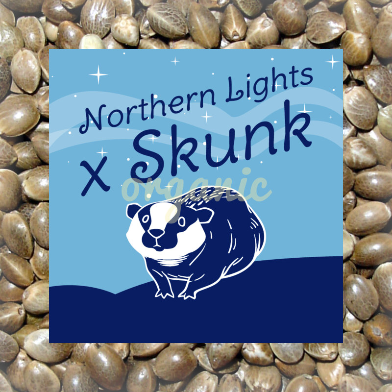 Northern Lights x Skunk feminized marijuana seeds