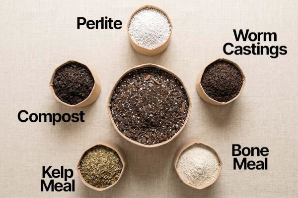 Flat lay of five autoflower soil amendments with labels: perlite, worm castings, bone meal, kelp meal, and compost