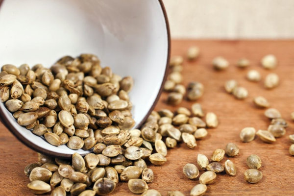 cannabis seeds scattered on table