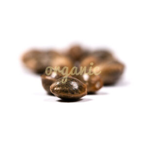 Alien Technology regular marijuana seeds